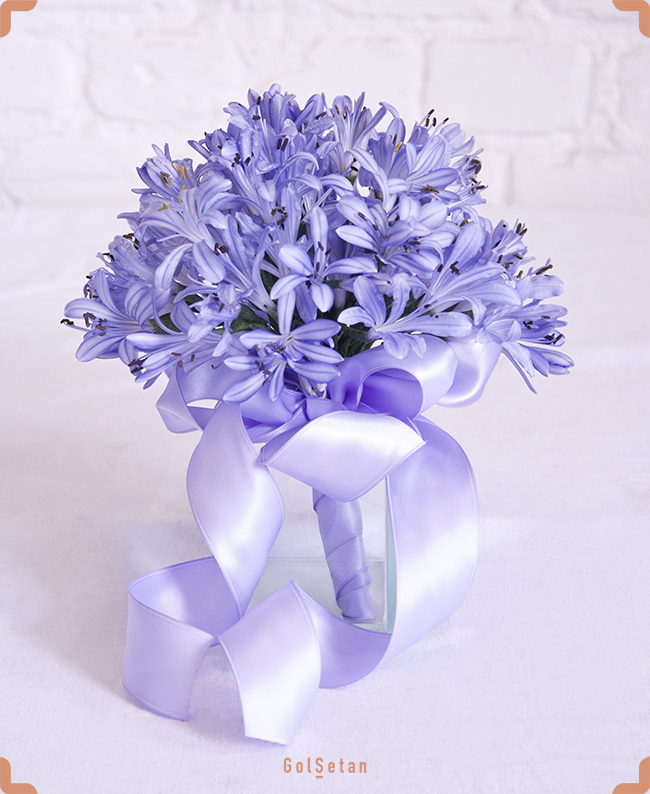 دسته گل سوسن با ربان قرار داده شده در گلدان که در زبان یونانی به مفهوم گل عشق می باشد