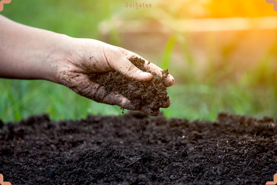 خاک نامناسب برای گیاهان خانگی